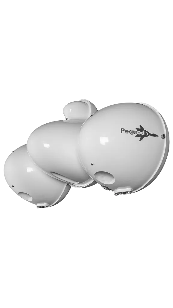 Pequod_acoustics_mistral_rear.webp